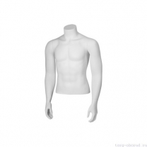 Торс мужской с руками, скульптурный, укороченный, цвет белый. MD-C-07-01M