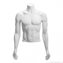 Торс мужской, скульптурный, укороченный, цвет белый глянец, руки опущены. MD-С-14-01G