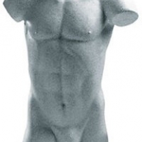 Торс мужской, скульптурный, цвет белый. MD-CHEMIN 2