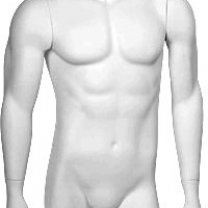 Манекен торс мужской, с руками, цвет белый, MD-C-04