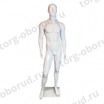 Манекен мужской для одежды, стеклопластик, белый глянец MD-EGO 30WH